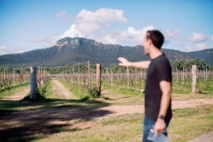 Giro di degustazione di vini di lusso e cucina raffinata da Sydney