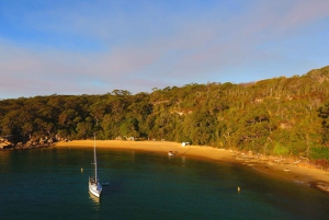 Manly: Kajaktur på 3 stränder med lunch