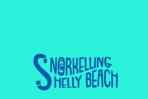 Guidet snorkletur på Manly Beach for ikke-svømmere