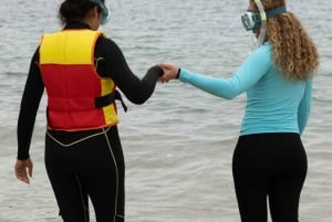 Guidet snorkletur på Manly Beach for ikke-svømmere