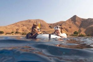 Manly: Freediving voor beginners: adem inhouden & de oceaan verkennen