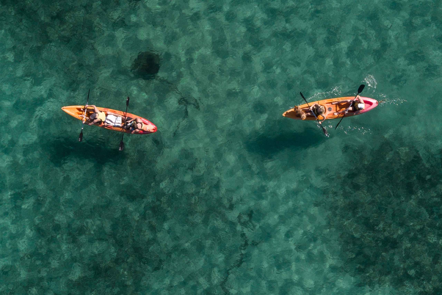 Manly: Mini tour in kayak sul porto nord di Sydney