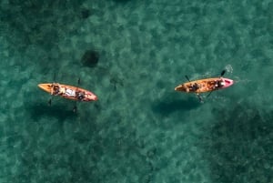 Manly Excursión en mini kayak por el Puerto Norte de Sídney