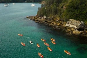 Manly : Excursion en mini kayak sur le North Harbour de Sydney