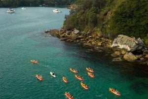 Manly: Mini tour in kayak sul porto nord di Sydney