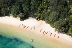 Manly: Mini tour in kayak sul porto nord di Sydney