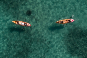 Manly: Mini tour in kayak sul porto nord di Sydney