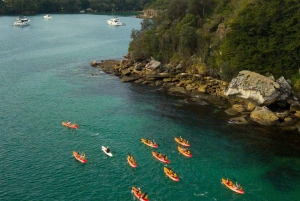 Manly: Mini tour in kayak sul porto nord di Sydney