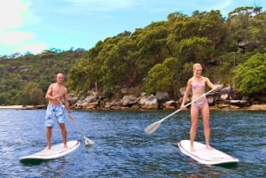 Manly Stand Up Paddle Board Verleih