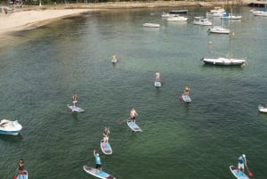 Manly Stand Up Paddle Board udlejning