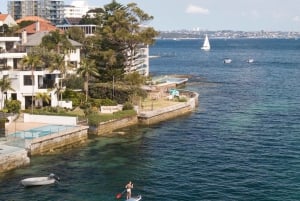 Location de planches de Stand Up Paddle à Manly