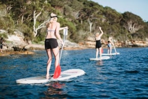 Location de planches de Stand Up Paddle à Manly