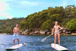 Location de planches de Stand Up Paddle à Manly