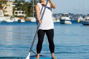 Location de planches de Stand Up Paddle à Manly