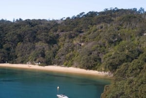 Location de planches de Stand Up Paddle à Manly