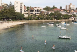 Location de planches de Stand Up Paddle à Manly