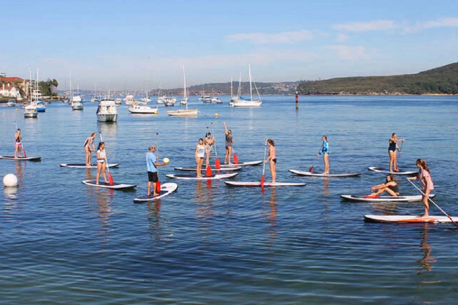 Manly : Stand Up Paddle Board Leçon publique en groupe
