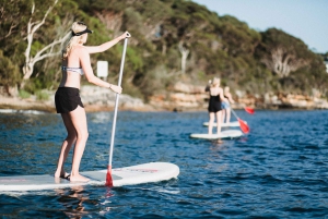 Manly: Stand Up Paddle Board Public Group Lesson