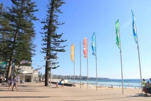 Manly walking tour with scenic ferry ride