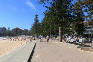 Manly walking tour with scenic ferry ride