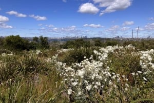 Manly: North Head Nature, History & Culture Walking Tour