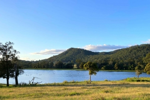 New Gokula Farm, Cessnock & Newcastle Day Tour from Sydney