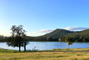New Gokula Farm, Cessnock & Newcastle Day Tour from Sydney