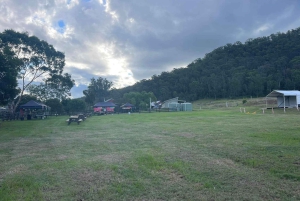 New Gokula Farm, Cessnock & Newcastle Day Tour from Sydney