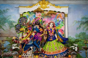 New Gokula Farm, Cessnock & Newcastle Day Tour from Sydney