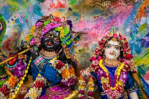 New Gokula Farm, Cessnock & Newcastle Day Tour from Sydney