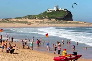 New Gokula Farm, Cessnock & Newcastle Day Tour from Sydney