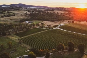 Orange: Forkæl dig selv med Swinging Bridge – 5-retters frokost og rundvisning