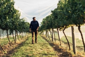 Orange: Forkæl dig selv med Swinging Bridge – 5-retters frokost og rundvisning