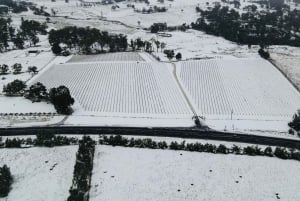 Orange: Forkæl dig selv med Swinging Bridge – 5-retters frokost og rundvisning