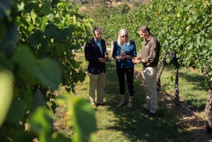 Orange: Disfruta con Swinging Bridge: almuerzo de 5 platos y visita guiada.