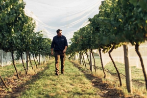 Orange: Disfruta con Swinging Bridge: almuerzo de 5 platos y visita guiada.