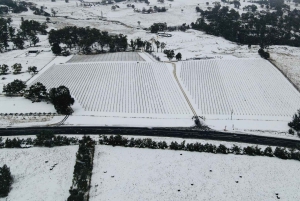 Orange: Disfruta con Swinging Bridge: almuerzo de 5 platos y visita guiada.