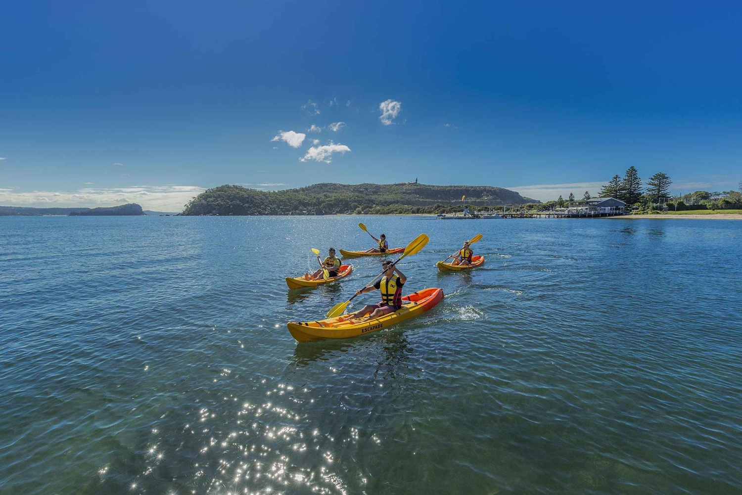 Palm Beach Harbour Hopper 24-Stunden- oder 48-Stunden-Kreuzfahrtpass