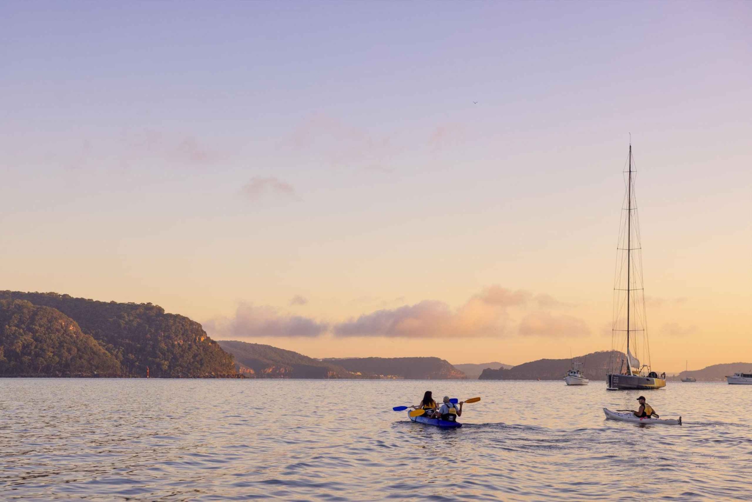 Palm Beach Harbour Hopper 24-Stunden- oder 48-Stunden-Kreuzfahrtpass