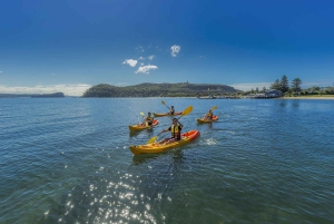 Palm Beach Harbour Hopper 24-Stunden- oder 48-Stunden-Kreuzfahrtpass