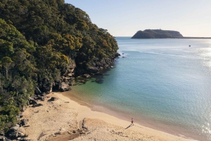 Palm Beach Harbour Hopper 24-Stunden- oder 48-Stunden-Kreuzfahrtpass