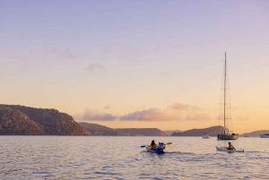 Palm Beach Harbour Hopper 24-Stunden- oder 48-Stunden-Kreuzfahrtpass