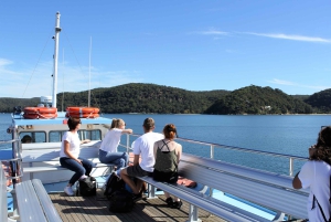 Palm Beach Harbour Hopper 24-Stunden- oder 48-Stunden-Kreuzfahrtpass