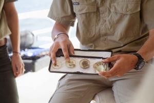 Mooney Mooney : Ferme de perles et d'huîtres Croisière sur la rivière Hawkesbury