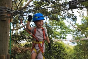 Pennant Hills: Junior Tree Ropes Course