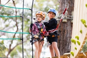 Pennant Hills: Junior Tree Ropes Course