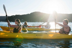 Pittwater Discovery Half-Day Kayaking Tour
