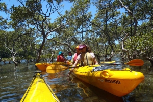 Pittwater Discovery Half-Day Kayaking Tour