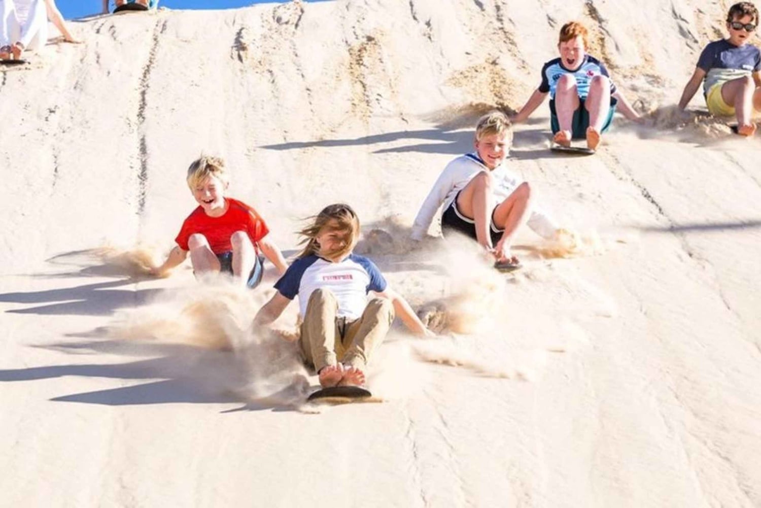 Port Stephens Experience + Sydney Hop-on-Hop-off-bussbillett