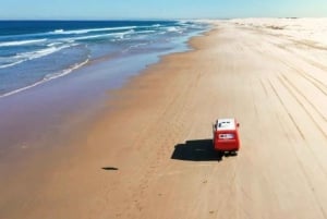 Port Stephens Experience + Sydney Hop-on-Hop-off Bus Ticket